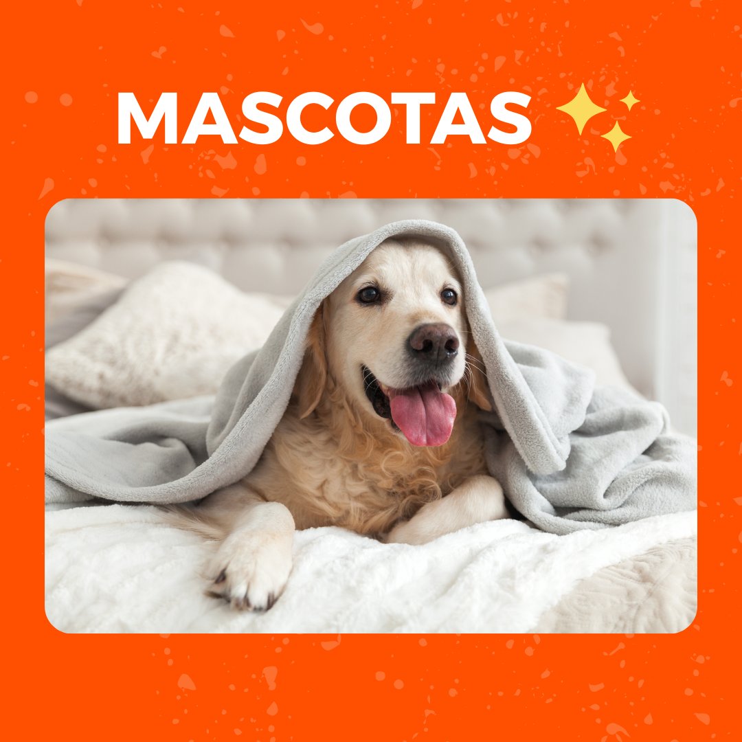 ¡Amor a tus peludos!